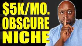 Obscure $5K Per Month Niche Exposed | How To Make Money Online In 2023
