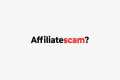 I Tried Affiliate Marketing for 100