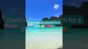 Network Marketing Truths-Real Scams Don't Teach You Anything #mlm #motivation #truesuccess